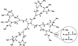 树枝状大分子,构建未来材料与生物技术的关键桥梁